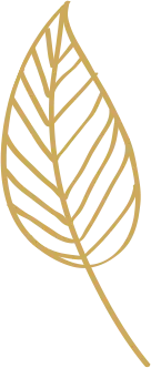 download 2025 02 08T020859.365 1